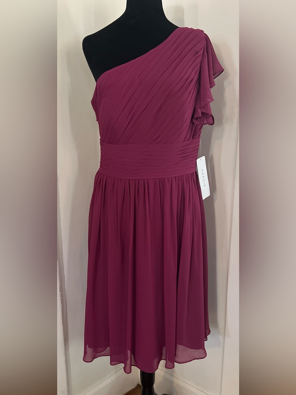 Azazie Orchid One Shoulder Pleated Chiffon
Evening Dress Size A12 Weddin